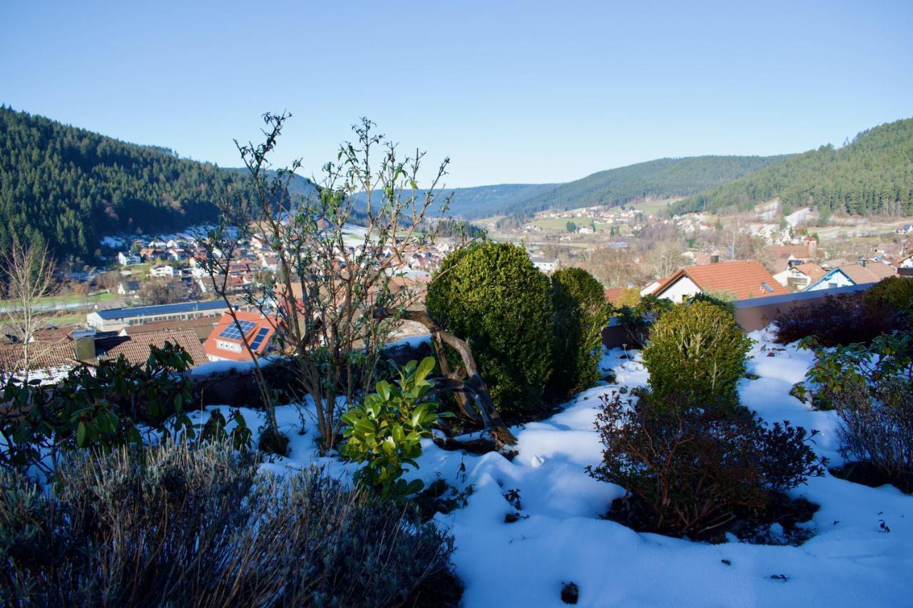Appartement mit herrlicher Aussicht übers Murgtal Baiersbronn Exterior foto