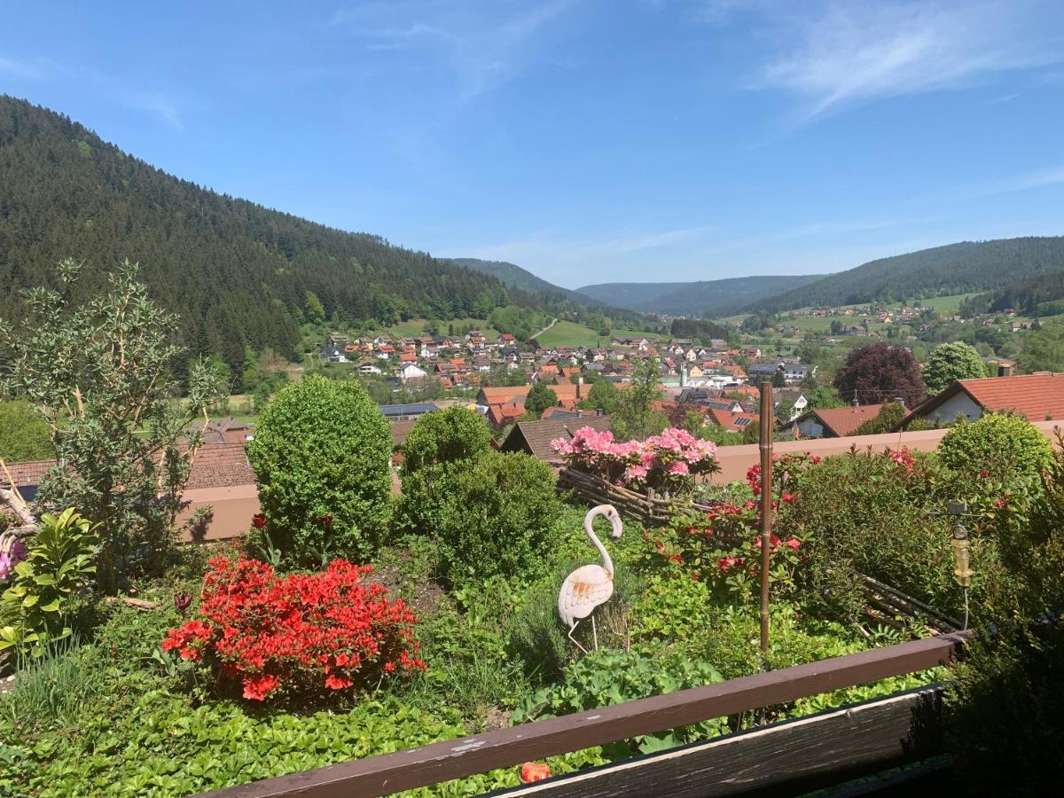 Appartement mit herrlicher Aussicht übers Murgtal Baiersbronn Exterior foto