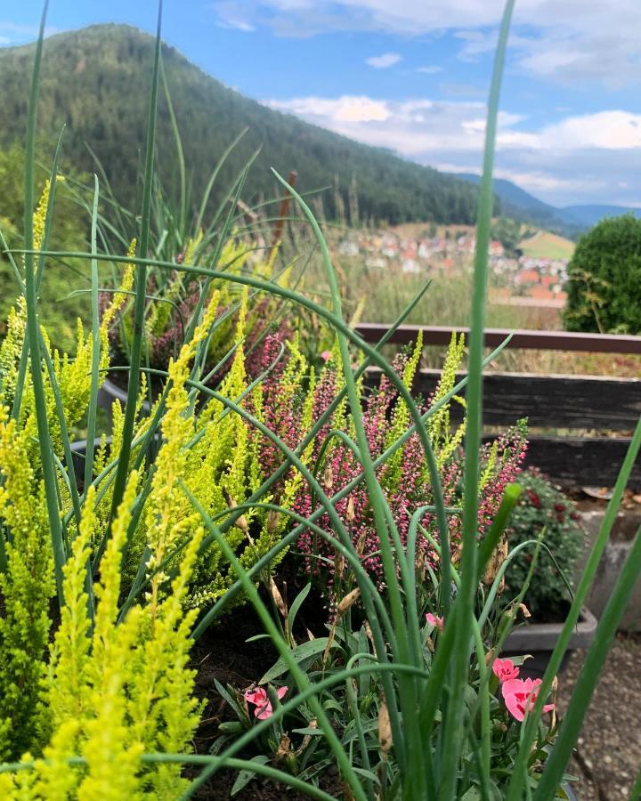 Appartement mit herrlicher Aussicht übers Murgtal Baiersbronn Exterior foto
