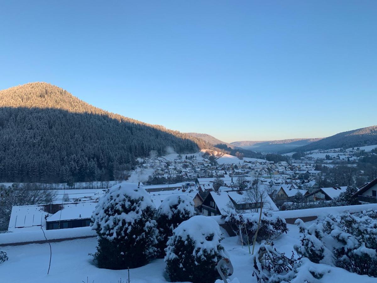 Appartement mit herrlicher Aussicht übers Murgtal Baiersbronn Exterior foto